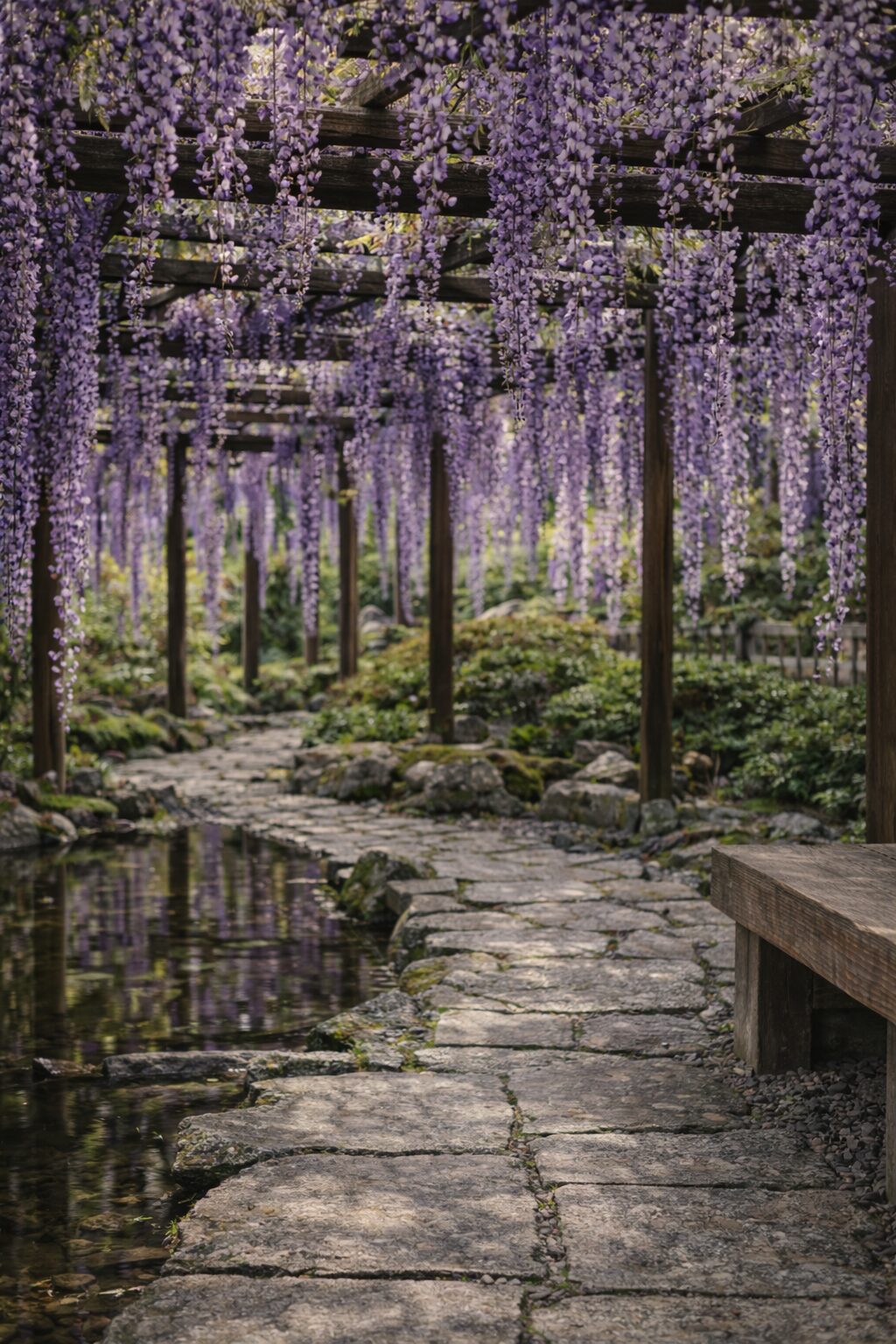 Shika atmosphere - spring dawn mist