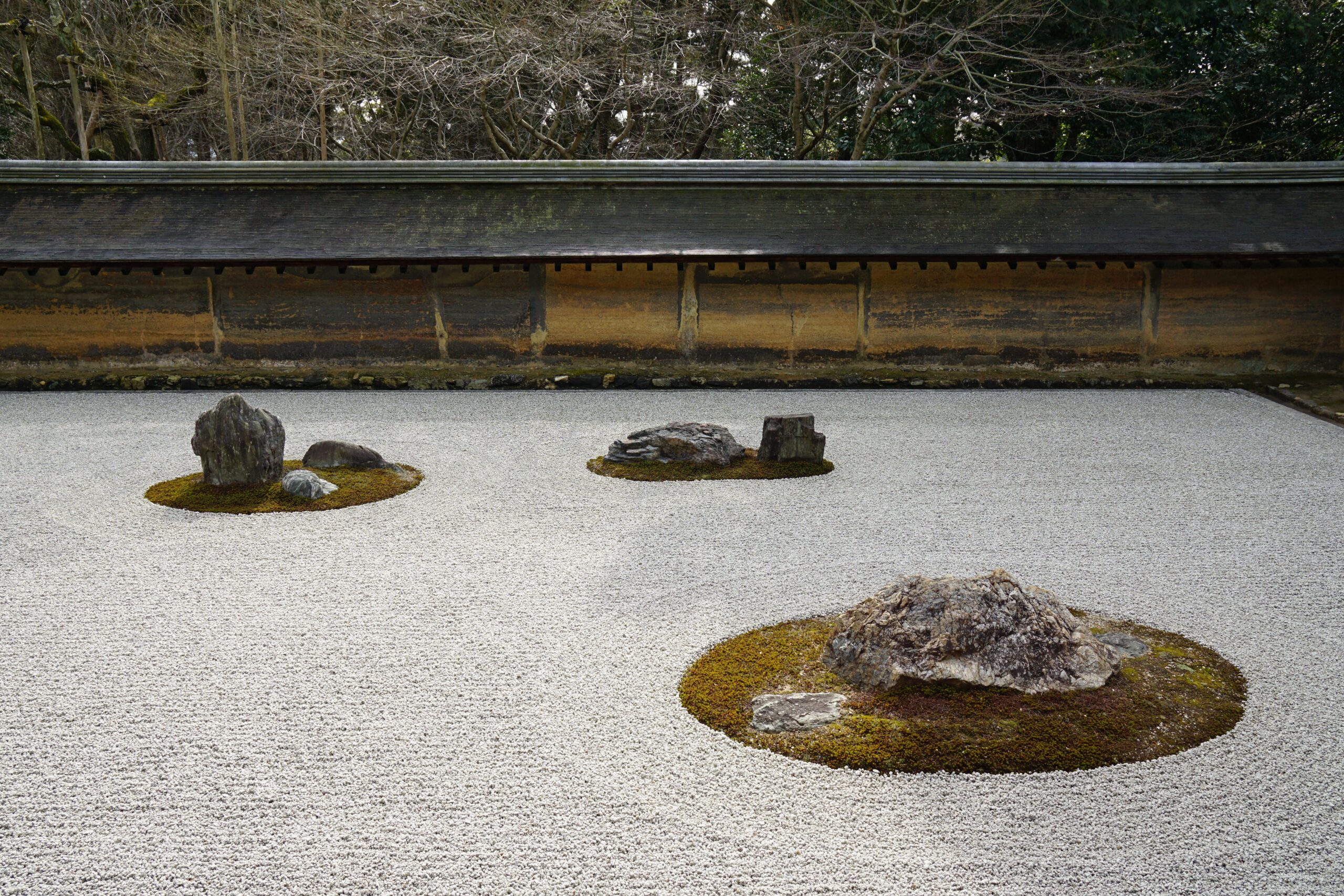 Senzaicha (仙斉茶) — subdued dark tea-green tone with depth and quietness